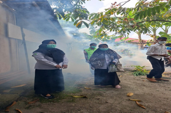 Kegiatan Fogging sebagai Upaya Pencegahan Penyebaran Demam Berdarah Dengue (DBD)